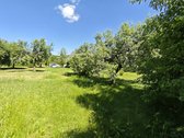 Parduodu žemės ūkio/mėgėjų sodo žemės sklypą - nuotraukos Nr. 6