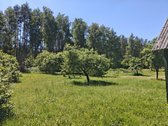 Parduodu žemės ūkio/mėgėjų sodo žemės sklypą - nuotraukos Nr. 12