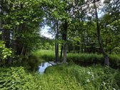 Parduodu žemės ūkio/mėgėjų sodo žemės sklypą - nuotraukos Nr. 22