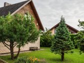 Parduodamas 22 a. Sklypas Šalia Miško su - nuotraukos Nr. 2