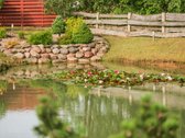 Parduodamas 22 a. Sklypas Šalia Miško su - nuotraukos Nr. 3