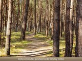 Viename patraukliausių namų kvartalų - nuotraukos Nr. 23