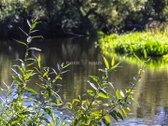 Parduodamas erdvus butas per du aukštus su - nuotraukos Nr. 20