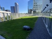 Nuomojamos biuro patalpos verslo centre - nuotraukos Nr. 21