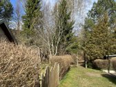 Panevėžio r. sav., Naujikų k. - nuotraukos Nr. 5