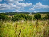 Izabelinės K., Avižienių Sen., Vilniaus Raj. - nuotraukos Nr. 41