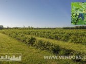 Parduodamas Veikiantis Sausmedžių Ūkis Su - nuotraukos Nr. 6
