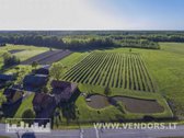 Parduodamas Veikiantis Sausmedžių Ūkis Su