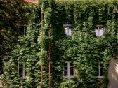 Parduodami išskirtiniai namai Vilniaus - nuotraukos Nr. 10