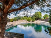 Išskirtinis Namas Su Nuosavu Tvenkiniu – - nuotraukos Nr. 3
