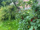 Parduodamas įregistruotas gyvenamasis namas - nuotraukos Nr. 5