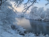 Erdvus butas su vaizdu į upę. Gražu visais - nuotraukos Nr. 23