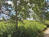 Parduodami Išskirtiniai, Privatūs 81,60 Arų - nuotraukos Nr. 33