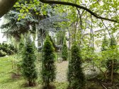 Parduodamas Išskirtinis Butas-namas Vilniaus - nuotraukos Nr. 32