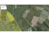 Autentiška 1940 M. Vokiška Sodyba - 6 Ha Žemės - nuotraukos Nr. 12