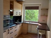 Išnuomojamas šiuolaikiškas, šviesus (langai