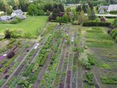 Parduodama išskirtinė sodyba su Vingėrynės - nuotraukos Nr. 23