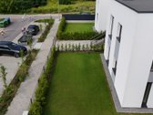 Parduodamas patogiai suplanuotas 3-jų - nuotraukos Nr. 4