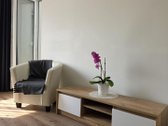 Parduodamas jaukus ir šiltas 1 kambario butas - nuotraukos Nr. 3