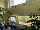 Jūs laukia butas puikioje vietoje šalia miško - nuotraukos Nr. 21