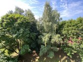 Jūs laukia butas puikioje vietoje šalia miško - nuotraukos Nr. 17