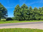 Širvintų rajone, Motiejūnų k. šalia Žėplos ir - nuotraukos Nr. 7