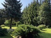 Parduodamas jaukus 3 kambarių butas su - nuotraukos Nr. 26