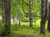Yra vietų, kuriose laikas teka kitaip. - nuotraukos Nr. 55