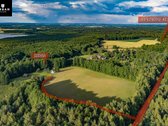 Jaukumu Ir Unikaliu Šarmu Pasižyminti Sodyba - nuotraukos Nr. 25