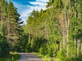 Jaukumu Ir Unikaliu Šarmu Pasižyminti Sodyba - nuotraukos Nr. 26