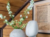 Parduodamas Jaukus Vieno Kambario Butas Gėlių G. 9 - nuotraukos Nr. 12