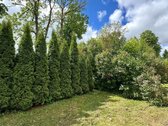 Parduodama jauki sodyba su 15,8 a sklypu - nuotraukos Nr. 19