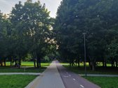 Parduodamas jaukus ir erdvus dviejų kambarių - nuotraukos Nr. 29