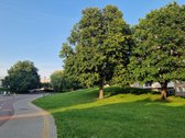 Parduodamas jaukus ir erdvus dviejų kambarių - nuotraukos Nr. 32