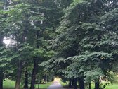 Parduodamas jaukus ir erdvus dviejų kambarių - nuotraukos Nr. 28