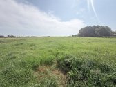 Parduodamas 80,42 Kv. M Plytų Mūro - nuotraukos Nr. 46