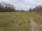 Parduodamas 3,00 ha žemės ūkio paskirties - nuotraukos Nr. 4