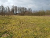 Parduodamas 3,00 ha žemės ūkio paskirties - nuotraukos Nr. 3