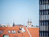 Parduodami aukštų lubų penthouse apartamentai - nuotraukos Nr. 13