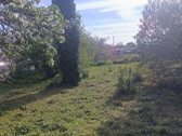 Dercekliuose Molo g. parduodamas 6 arų sodo - nuotraukos Nr. 3
