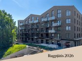 Projekte „Medeinos namai“, žaliuojančiuose - nuotraukos Nr. 11