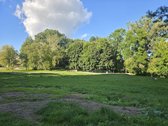 Parduodamas vienas geriausių sklypų Alytuje - nuotraukos Nr. 5