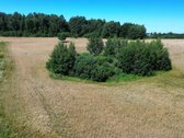 Parduodamas 7,79 Ha Ploto Žemės Ūkio - nuotraukos Nr. 9