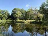 Obelijos dvaro sodyba („Rožių dvaras“) – 19.2 - nuotraukos Nr. 10