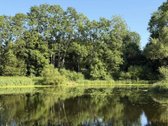 Obelijos dvaro sodyba („Rožių dvaras“) – 19.2 - nuotraukos Nr. 11
