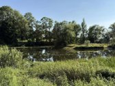 Obelijos dvaro sodyba („Rožių dvaras“) – 19.2 - nuotraukos Nr. 9