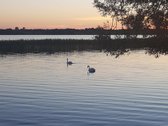 Obelijos dvaro sodyba („Rožių dvaras“) – 19.2 - nuotraukos Nr. 38