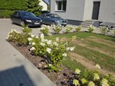 Ka tik įrengtas, viskas nauja. - nuotraukos Nr. 52