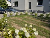Parduodamas Įrengtas 1 Kambario Studijos Tipo - nuotraukos Nr. 33