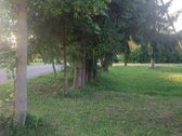 Parduodama sodyba Pašušvyje Radviliškio sen. - nuotraukos Nr. 2